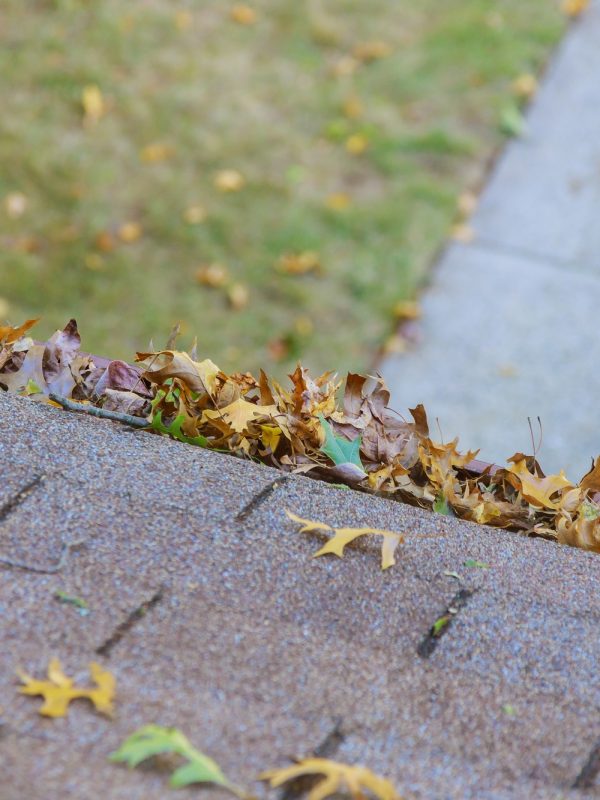 Dirty roof with gutter with leaves requiring cleaning Dirty roof with gutter with leaves requiring cleaning